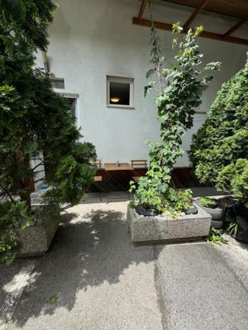 Ferienwohnung Cozy Flat Near Tivoli Park With Free Parking Laibach Exterior foto